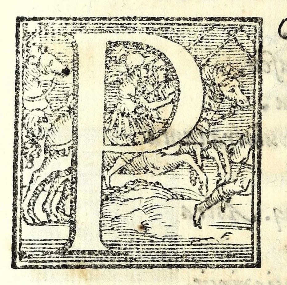 An illustration from Leonardi Ginii Cortonensis In funere serenissimi Cosmi Medicis magni Etruriae ducis funebris laudatio ad Senenses, 1574, leaf 42