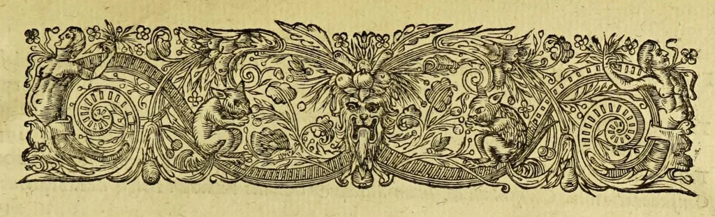 An illustration from Leonis ab Aitzema Historia pacis, a Fœderatis Belgis ab anno M DC XXI. ad hoc usque tempus tractatæ, 1654, leaf 881
