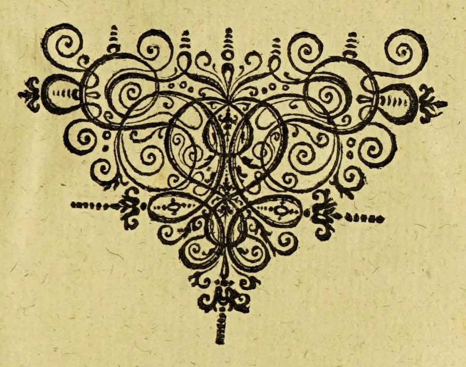 An illustration from Leonis ab Aitzema Historia pacis, a Fœderatis Belgis ab anno M DC XXI. ad hoc usque tempus tractatæ, 1654, leaf 885