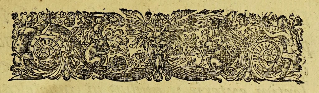 An illustration from Leonis ab Aitzema Historia pacis, a Fœderatis Belgis ab anno M DC XXI. ad hoc usque tempus tractatæ, 1654, leaf 9