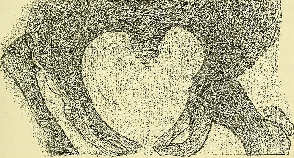 An illustration from Leçons cliniques de chirurgie infantile : deuxième série, 1905, leaf 204