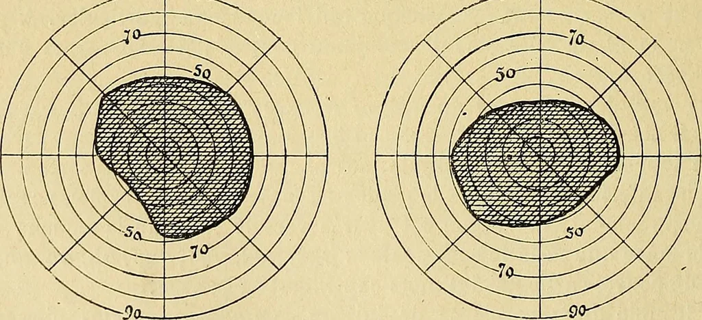 An illustration from Leçons cliniques sur l'hystérie et l'hypnotisme : faites à l'Hôpital Saint-André de Bordeaux, 1891, leaf 389