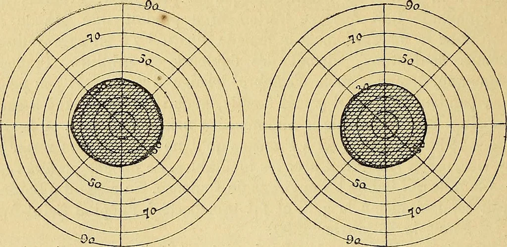 An illustration from Leçons cliniques sur l'hystérie et l'hypnotisme : faites à l'Hôpital Saint-André de Bordeaux, 1891, leaf 495