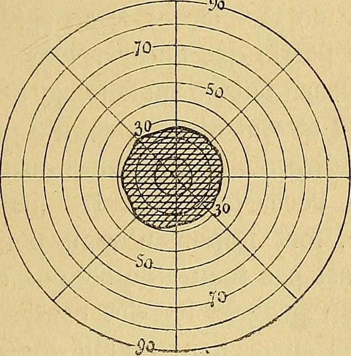 An illustration from Leçons cliniques sur l'hystérie et l'hypnotisme : faites à l'Hôpital Saint-André de Bordeaux, 1891, leaf 508