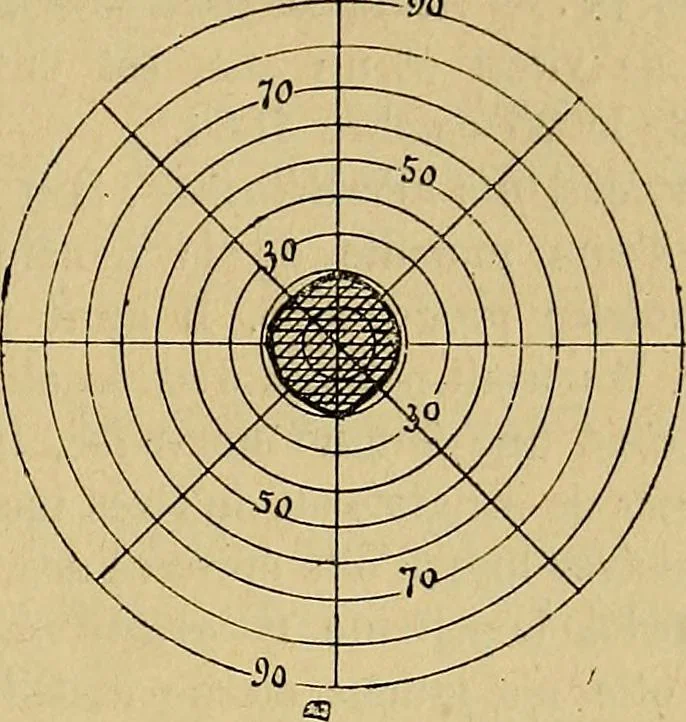 An illustration from Leçons cliniques sur l'hystérie et l'hypnotisme : faites à l'Hôpital Saint-André de Bordeaux, 1891, leaf 262