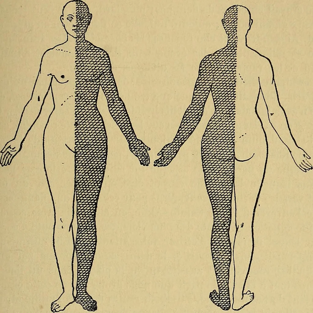 An illustration from Leçons cliniques sur l'hystérie et l'hypnotisme : faites à l'Hôpital Saint-André de Bordeaux, 1891, leaf 296
