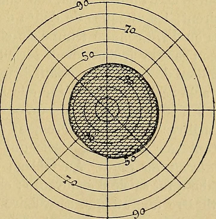 An illustration from Leçons cliniques sur l'hystérie et l'hypnotisme : faites à l'Hôpital Saint-André de Bordeaux, 1891, leaf 296