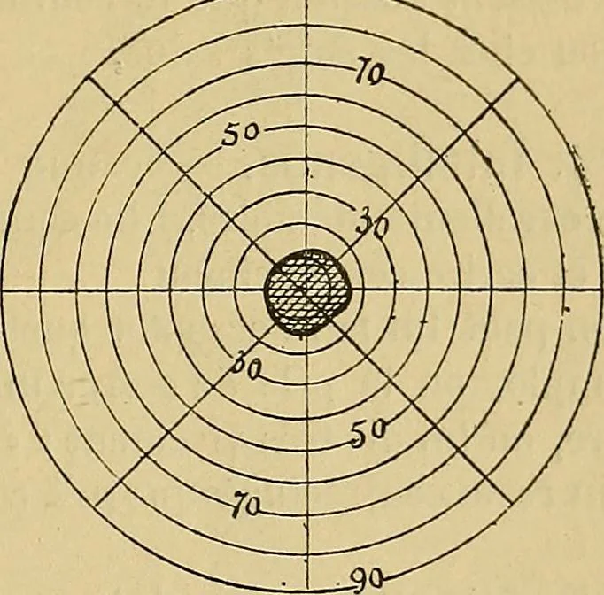 An illustration from Leçons cliniques sur l'hystérie et l'hypnotisme : faites à l'Hôpital Saint-André de Bordeaux, 1891, leaf 432
