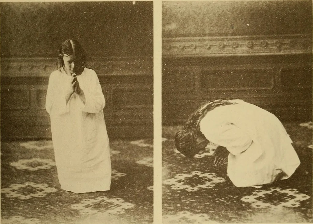 An illustration from Leçons cliniques sur l'hystérie et l'hypnotisme : faites à l'Hôpital Saint-André de Bordeaux, 1891, leaf 528