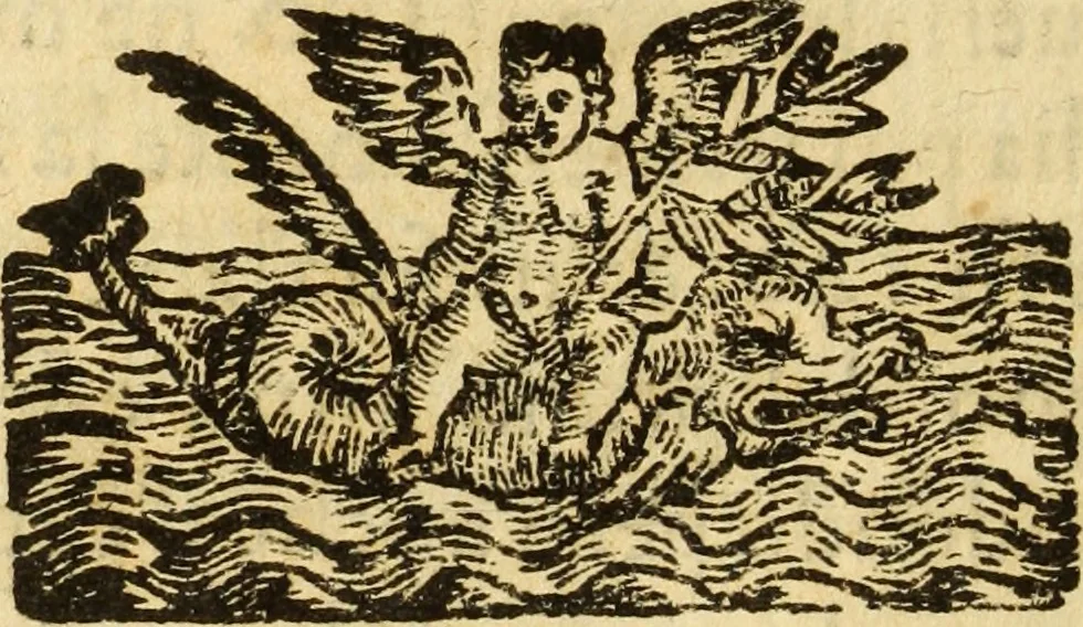 An illustration from Le Operazioni del Compasso Geometrico et Militare, 1649, leaf 27