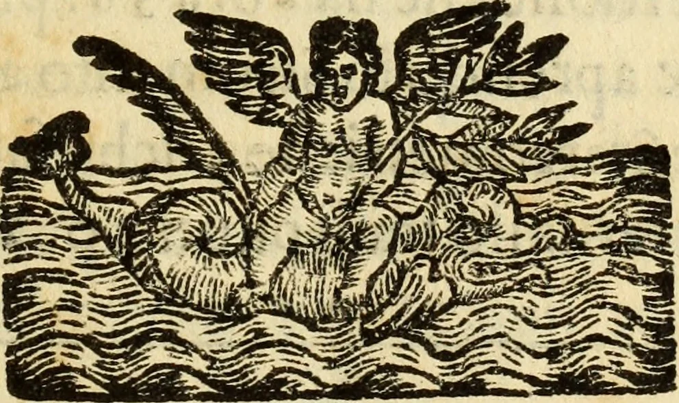 An illustration from Le Operazioni del Compasso Geometrico et Militare, 1649, leaf 40