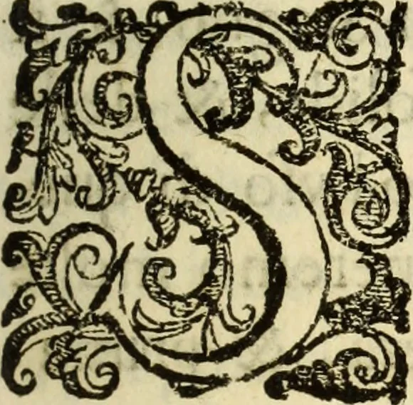 An illustration from Le Operazioni del Compasso Geometrico et Militare, 1649, leaf 46