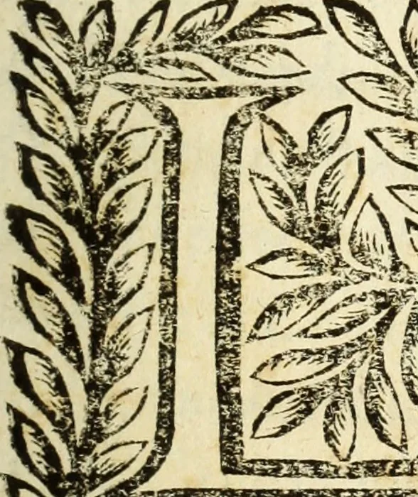 An illustration from Le Operazioni del Compasso Geometrico et Militare, 1649, leaf 6