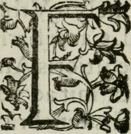 An illustration from Le origini di Padoua, 1625, leaf 15