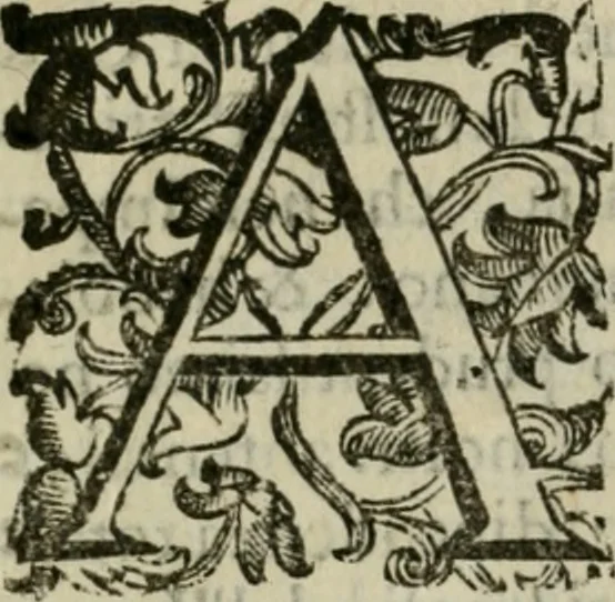 An illustration from Le origini di Padoua, 1625, leaf 155