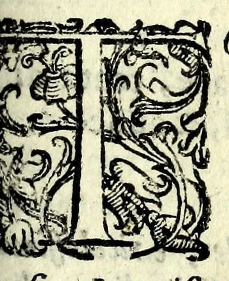 An illustration from Le otto giornate del Fvggilozio di Tomaso Costo ... : con molte bellissime sentenze di grauissimi autori, che tirano il loro senso à moralità .., 1620, leaf 381