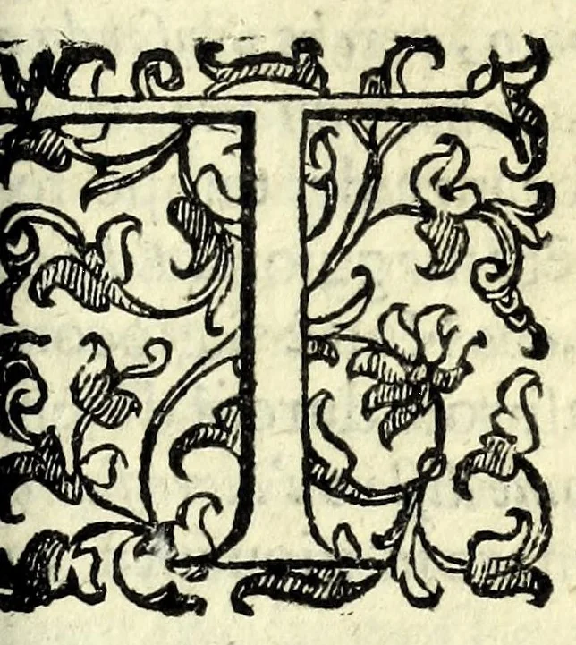 An illustration from Le otto giornate del Fvggilozio di Tomaso Costo ... : con molte bellissime sentenze di grauissimi autori, che tirano il loro senso à moralità .., 1620, leaf 495