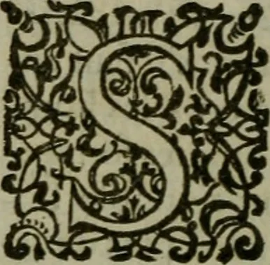An illustration from Le Pantheon Hvgvenot découuert et ruiné contre l'aucteur de l'Idolatrie papistique, Ministre de Vauuert, cy deuant d'Aigues mortes, 1610, leaf 233