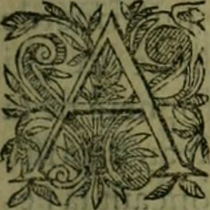 An illustration from Le Pantheon Hvgvenot découuert et ruiné contre l'aucteur de l'Idolatrie papistique, Ministre de Vauuert, cy deuant d'Aigues mortes, 1610, leaf 264
