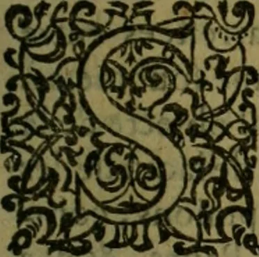An illustration from Le Pantheon Hvgvenot découuert et ruiné contre l'aucteur de l'Idolatrie papistique, Ministre de Vauuert, cy deuant d'Aigues mortes, 1610, leaf 272