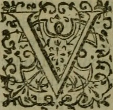An illustration from Le Pantheon Hvgvenot découuert et ruiné contre l'aucteur de l'Idolatrie papistique, Ministre de Vauuert, cy deuant d'Aigues mortes, 1610, leaf 301