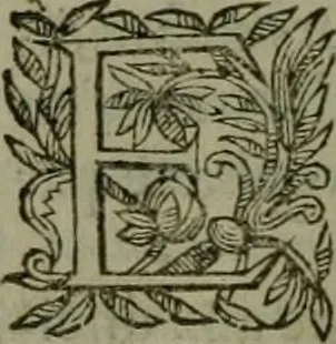 An illustration from Le Pantheon Hvgvenot découuert et ruiné contre l'aucteur de l'Idolatrie papistique, Ministre de Vauuert, cy deuant d'Aigues mortes, 1610, leaf 329