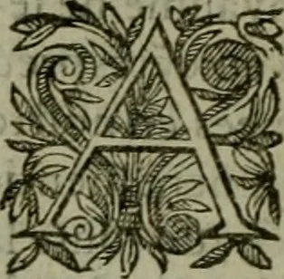 An illustration from Le Pantheon Hvgvenot découuert et ruiné contre l'aucteur de l'Idolatrie papistique, Ministre de Vauuert, cy deuant d'Aigues mortes, 1610, leaf 335