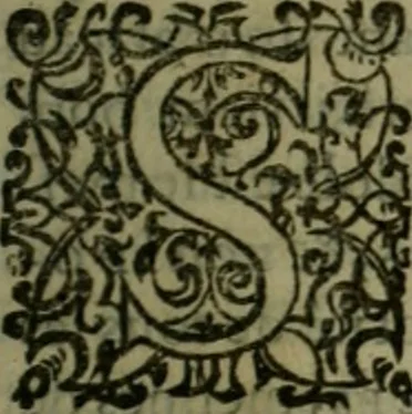 An illustration from Le Pantheon Hvgvenot découuert et ruiné contre l'aucteur de l'Idolatrie papistique, Ministre de Vauuert, cy deuant d'Aigues mortes, 1610, leaf 352