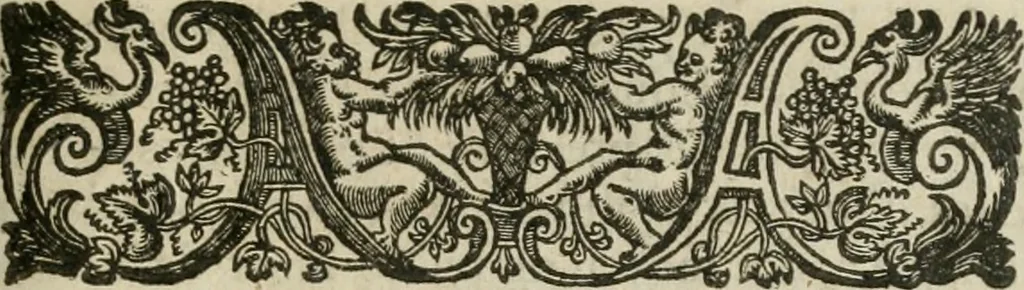 An illustration from Le parfaict ioaillier, ou, Histoire des pierreries : où sont amplement descrites leur naissance, iuste prix, moyen de les cognoistre, & se garder des contre-faites, facultez medecinales, & proprietez curieuses, 1644, leaf 38