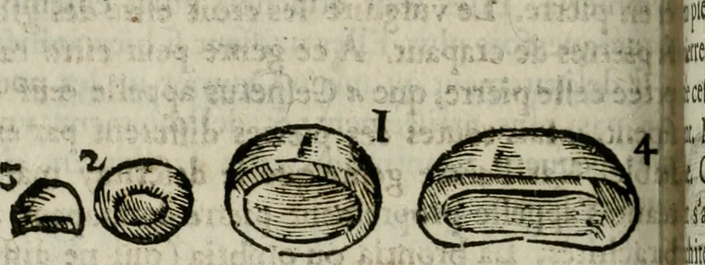 An illustration from Le parfaict ioaillier, ou, Histoire des pierreries : où sont amplement descrites leur naissance, iuste prix, moyen de les cognoistre, & se garder des contre-faites, facultez medecinales, & proprietez curieuses, 1644, leaf 429