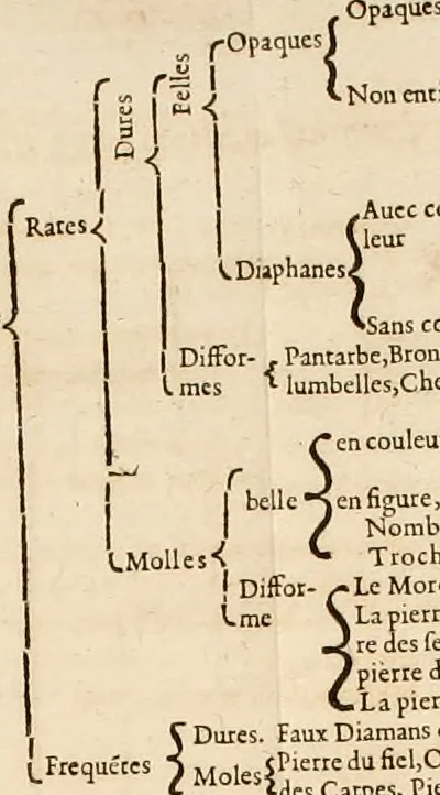 An illustration from Le parfaict ioaillier, ou, Histoire des pierreries : où sont amplement descrites leur naissance, iuste prix, moyen de les cognoistre, & se garder des contre-faites, facultez medecinales, & proprietez curieuses, 1644, leaf 44
