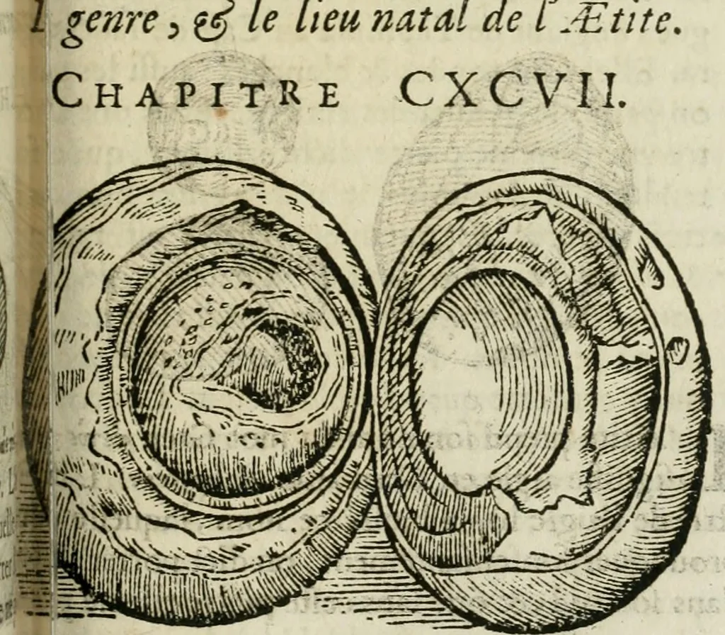 An illustration from Le parfaict ioaillier, ou, Histoire des pierreries : où sont amplement descrites leur naissance, iuste prix, moyen de les cognoistre, & se garder des contre-faites, facultez medecinales, & proprietez curieuses, 1644, leaf 524