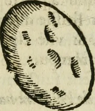 An illustration from Le parfaict ioaillier, ou, Histoire des pierreries : où sont amplement descrites leur naissance, iuste prix, moyen de les cognoistre, & se garder des contre-faites, facultez medecinales, & proprietez curieuses, 1644, leaf 532