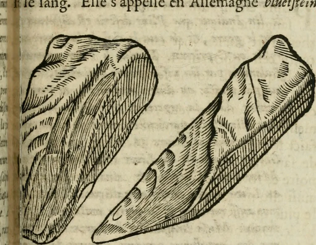An illustration from Le parfaict ioaillier, ou, Histoire des pierreries : où sont amplement descrites leur naissance, iuste prix, moyen de les cognoistre, & se garder des contre-faites, facultez medecinales, & proprietez curieuses, 1644, leaf 538