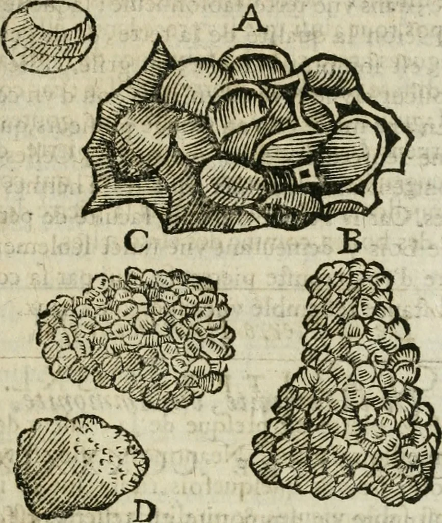 An illustration from Le parfaict ioaillier, ou, Histoire des pierreries : où sont amplement descrites leur naissance, iuste prix, moyen de les cognoistre, & se garder des contre-faites, facultez medecinales, & proprietez curieuses, 1644, leaf 588