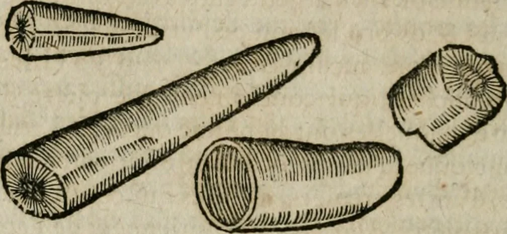 An illustration from Le parfaict ioaillier, ou, Histoire des pierreries : où sont amplement descrites leur naissance, iuste prix, moyen de les cognoistre, & se garder des contre-faites, facultez medecinales, & proprietez curieuses, 1644, leaf 659