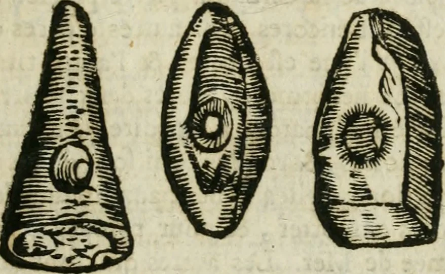 An illustration from Le parfaict ioaillier, ou, Histoire des pierreries : où sont amplement descrites leur naissance, iuste prix, moyen de les cognoistre, & se garder des contre-faites, facultez medecinales, & proprietez curieuses, 1644, leaf 666