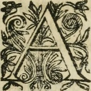 An illustration from Le parfaict ioaillier, ou, Histoire des pierreries : où sont amplement descrites leur naissance, iuste prix, moyen de les cognoistre, & se garder des contre-faites, facultez medecinales, & proprietez curieuses, 1644, leaf 790