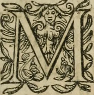 An illustration from Le parfaict ioaillier, ou, Histoire des pierreries : où sont amplement descrites leur naissance, iuste prix, moyen de les cognoistre, & se garder des contre-faites, facultez medecinales, & proprietez curieuses, 1644, leaf 8