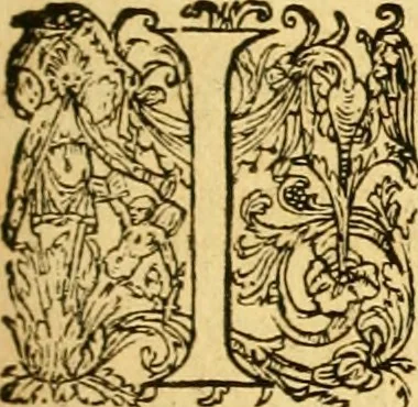 An illustration from Le parfait jardinier, ou, Instruction pour les jardins fruitiers et potagers : avec une Trait© des oranges, suivi de Reflexions sur l'agriculture, 1695, leaf 116