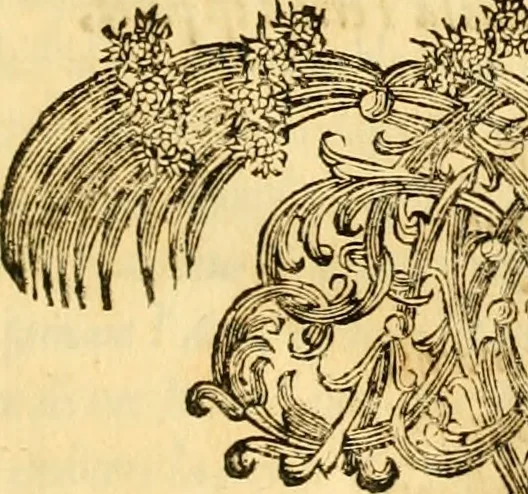 An illustration from Le parfait jardinier, ou, Instruction pour les jardins fruitiers et potagers : avec une Trait© des oranges, suivi de Reflexions sur l'agriculture, 1695, leaf 18