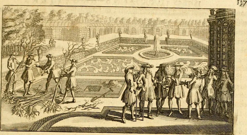 An illustration from Le parfait jardinier, ou, Instruction pour les jardins fruitiers et potagers : avec une Trait© des oranges, suivi de Reflexions sur l'agriculture, 1695, leaf 186