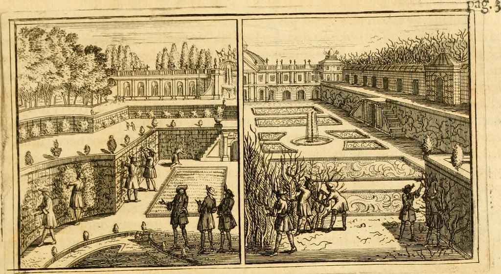 An illustration from Le parfait jardinier, ou, Instruction pour les jardins fruitiers et potagers : avec une Trait© des oranges, suivi de Reflexions sur l'agriculture, 1695, leaf 368