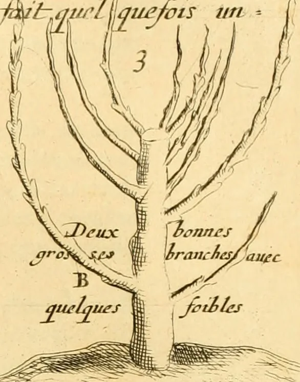 An illustration from Le parfait jardinier, ou, Instruction pour les jardins fruitiers et potagers : avec une Trait© des oranges, suivi de Reflexions sur l'agriculture, 1695, leaf 386