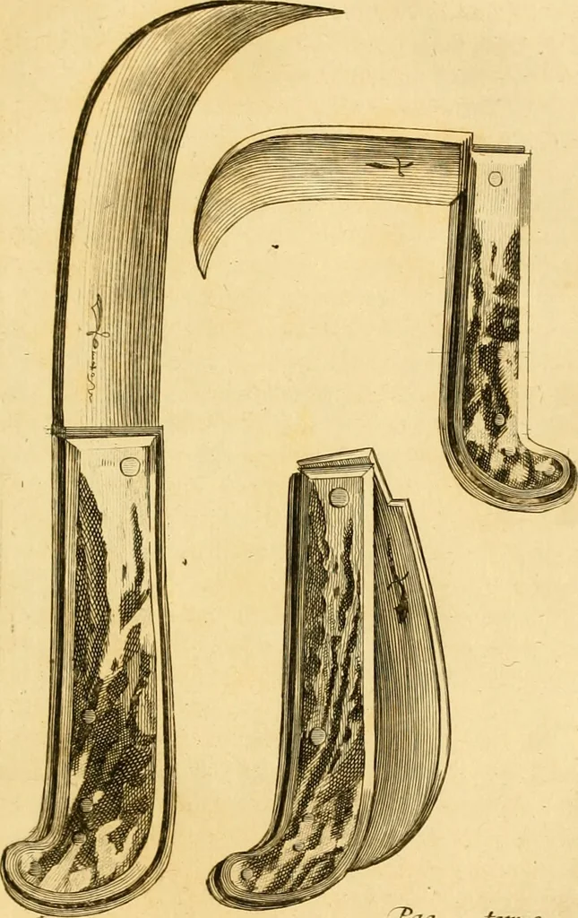 An illustration from Le parfait jardinier, ou, Instruction pour les jardins fruitiers et potagers : avec une Trait© des oranges, suivi de Reflexions sur l'agriculture, 1695, leaf 394