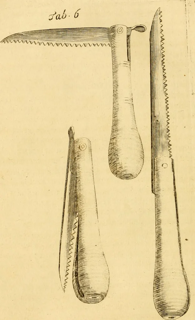 An illustration from Le parfait jardinier, ou, Instruction pour les jardins fruitiers et potagers : avec une Trait© des oranges, suivi de Reflexions sur l'agriculture, 1695, leaf 397