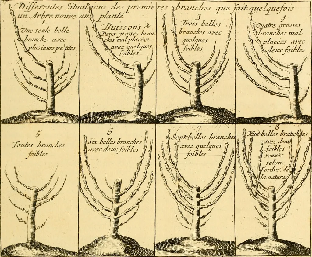 An illustration from Le parfait jardinier, ou, Instruction pour les jardins fruitiers et potagers : avec une Trait© des oranges, suivi de Reflexions sur l'agriculture, 1695, leaf 410