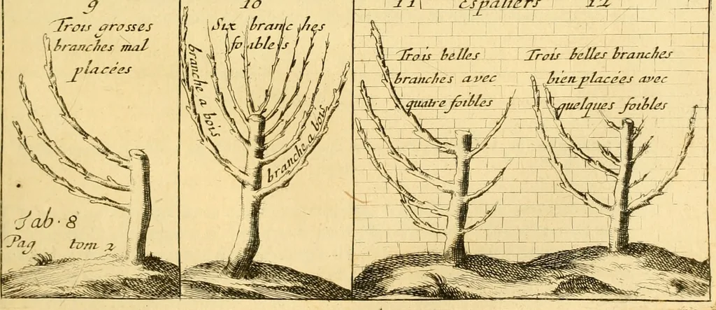 An illustration from Le parfait jardinier, ou, Instruction pour les jardins fruitiers et potagers : avec une Trait© des oranges, suivi de Reflexions sur l'agriculture, 1695, leaf 410