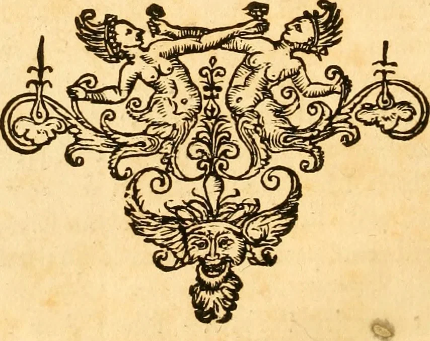 An illustration from Le parfait jardinier, ou, Instruction pour les jardins fruitiers et potagers : avec une Trait© des oranges, suivi de Reflexions sur l'agriculture, 1695, leaf 45