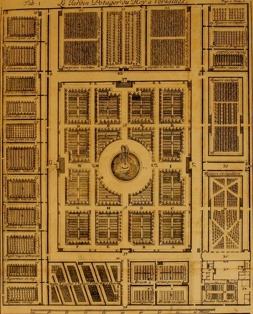 An illustration from Le parfait jardinier, ou, Instruction pour les jardins fruitiers et potagers : avec une Trait© des oranges, suivi de Reflexions sur l'agriculture, 1695, leaf 46